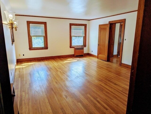 43 Brunswick Rd, Arlington, MA 02474 - unfurnished room with baseboards, ornamental molding, a wealth of natural light, and light wood-style floors