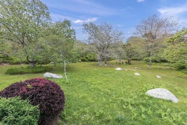9 Beetlebung Grove Way, Chilmark, MA 02535 - view of green lawn