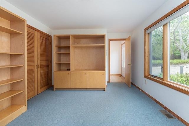 9 Beetlebung Grove Way, Chilmark, MA 02535 - unfurnished bedroom with light carpet, baseboards, and a closet