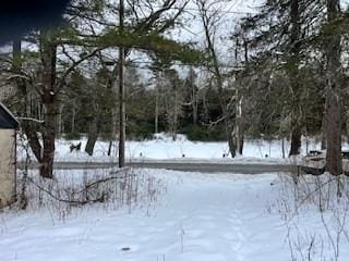 view of yard covered in snow