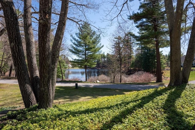 view of yard with a water view