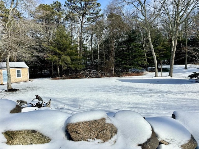 yard covered in snow featuring an outbuilding