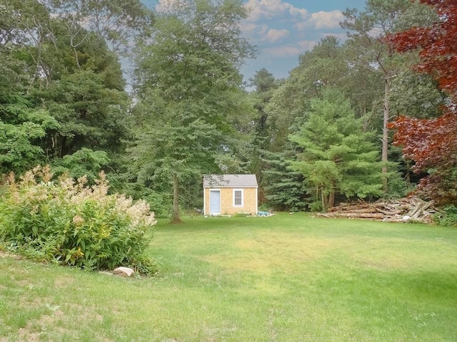 view of yard featuring a storage unit