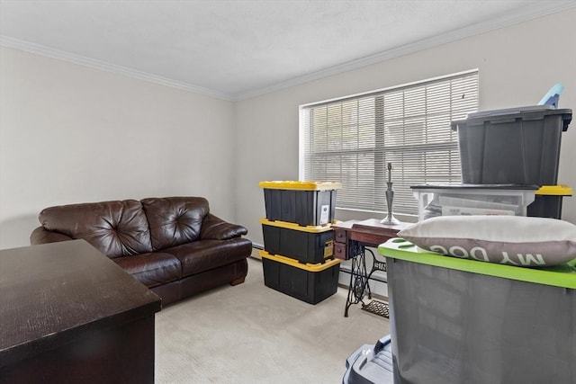 358 Broadway Unit 20, Lynn, MA 01904 - living area featuring carpet and ornamental molding
