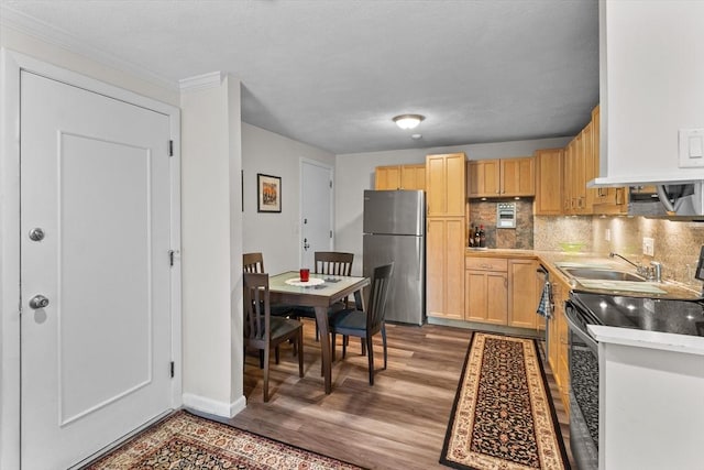 358 Broadway Unit 20, Lynn, MA 01904 - kitchen with freestanding refrigerator, a sink, range with electric stovetop, and light brown cabinets
