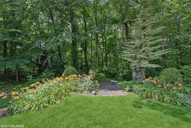 20 Lucia Dr, Milford, MA 01757 - view of green lawn featuring a forest view