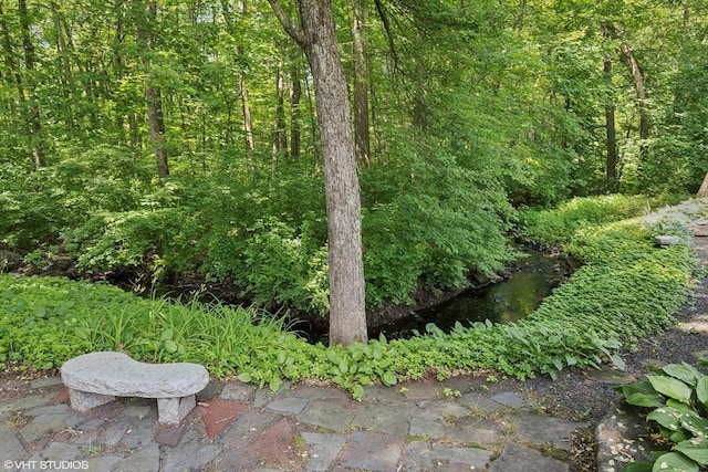 20 Lucia Dr, Milford, MA 01757 - view of local wilderness