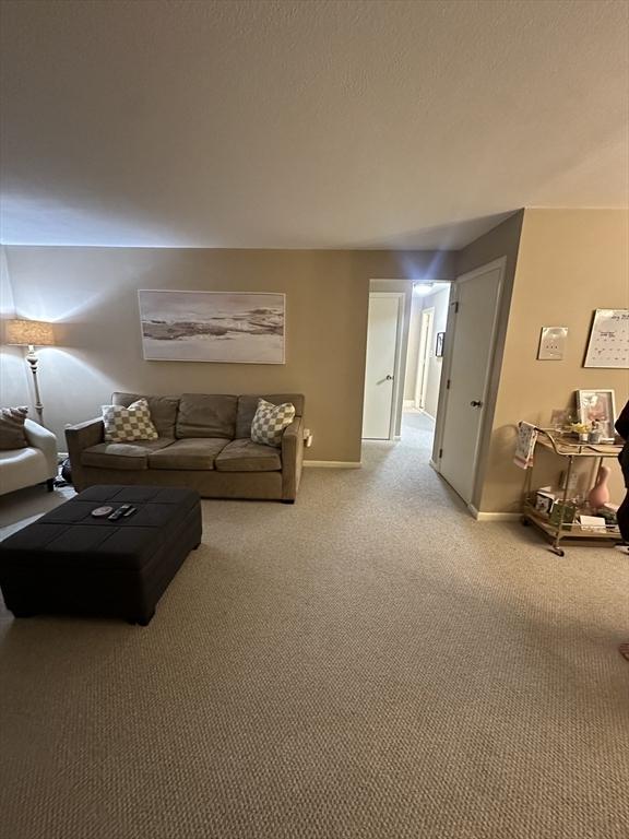 living room featuring carpet flooring