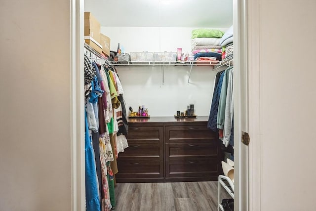 walk in closet with light wood-style flooring