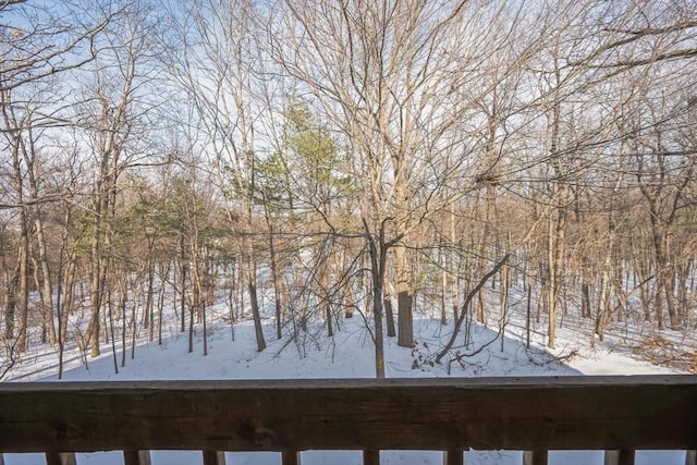 view of snowy yard