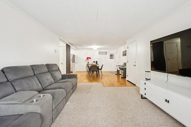 living room featuring light wood-type flooring