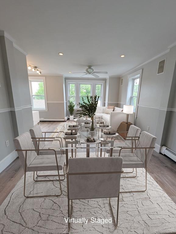 16 Horton St Unit 2, Salem, MA 01970 - living room with crown molding, wood finished floors, plenty of natural light, baseboards, and a ceiling fan