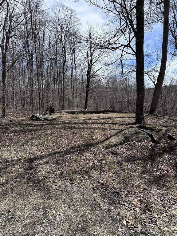 27 S Road Ext, Lot, Peru, MA 01235
