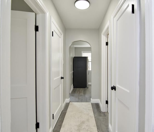 100 Haskin St, Springfield, MA 01109 - hallway with wood finished floors and arched walkways