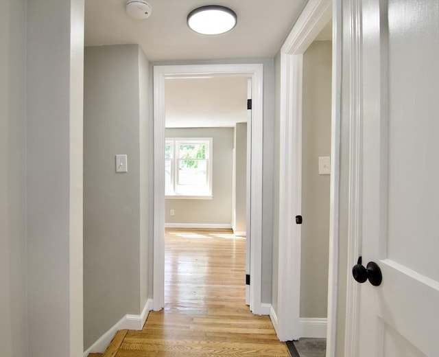 100 Haskin St, Springfield, MA 01109 - corridor featuring light wood-style flooring and baseboards