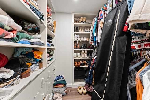 spacious closet featuring wood finished floors