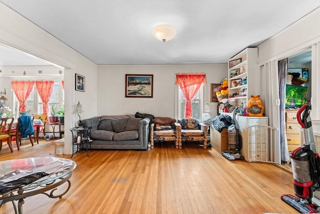 living room featuring light wood-style floors