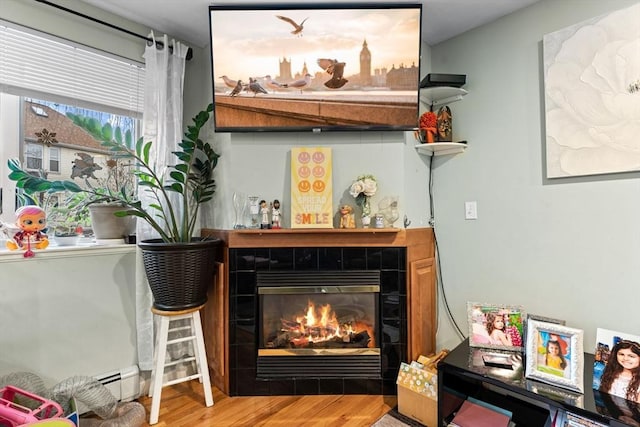 room details featuring baseboard heating, wood finished floors, and a fireplace