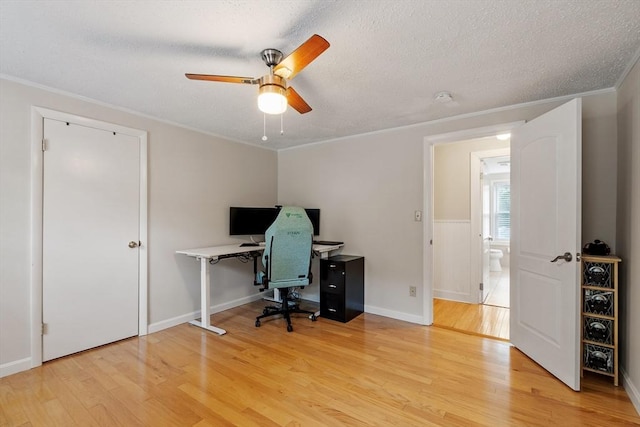 558 Amesbury Rd, Haverhill, MA 01830 - office space with a ceiling fan, light wood-style floors, ornamental molding, and a textured ceiling