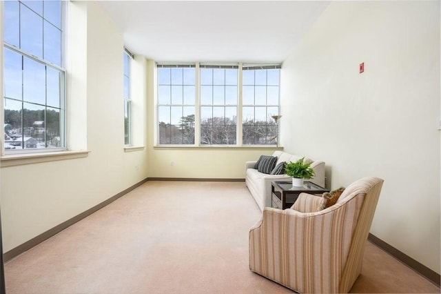 sitting room featuring light carpet