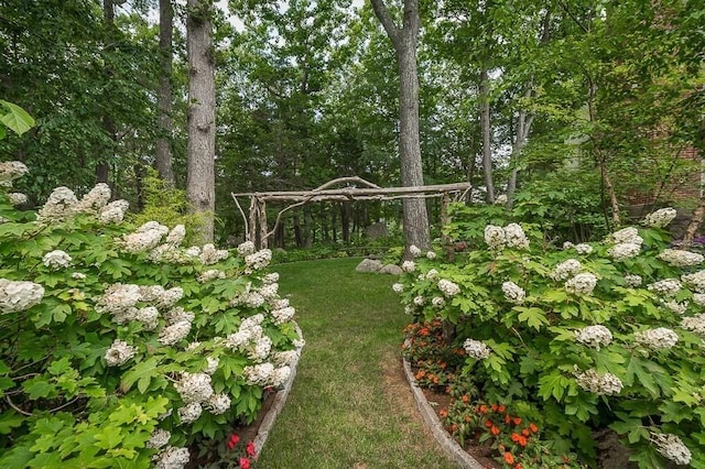4 Dexter Ln, Manchester, MA 01944 - view of yard