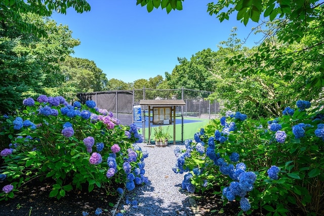 view of yard with tennis court