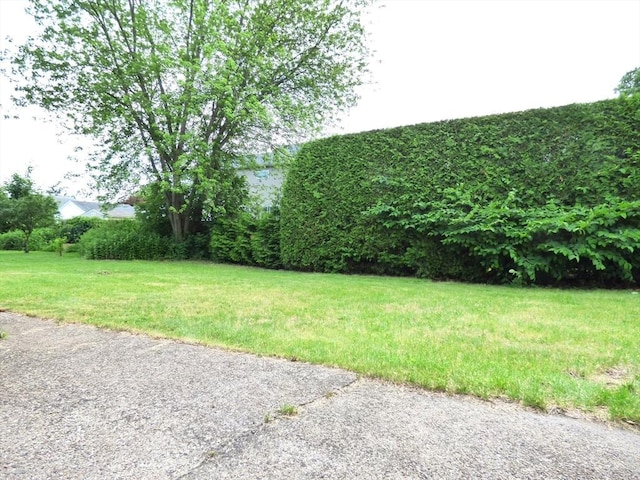 25 Williams St, Ludlow, MA 01056 - view of grassy yard