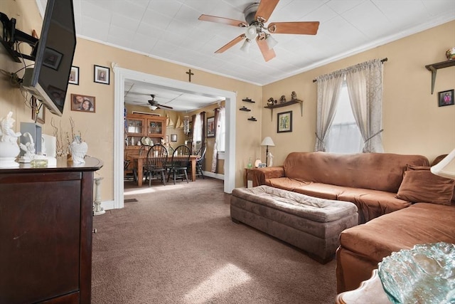 carpeted living room with crown molding and ceiling fan