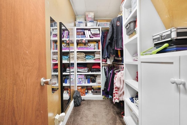 spacious closet with carpet