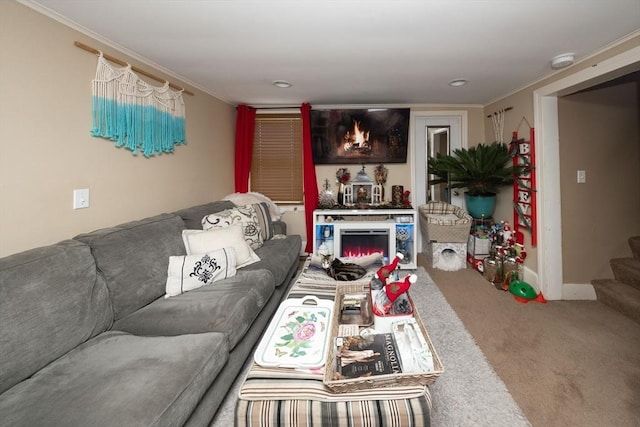 carpeted living room with a fireplace and crown molding