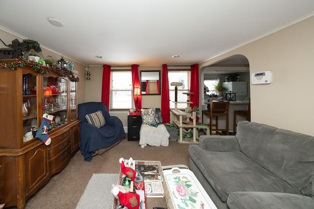 living room featuring light colored carpet and ornamental molding