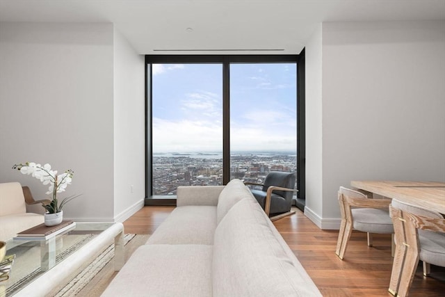 living room featuring a wall of windows, a wealth of natural light, and hardwood / wood-style floors