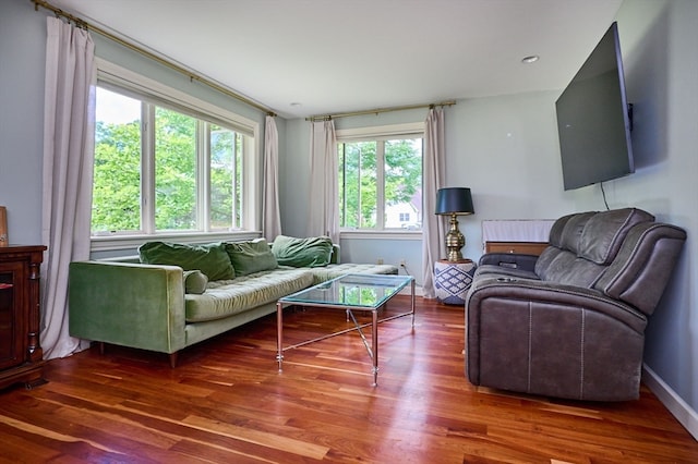 living room with dark hardwood / wood-style flooring