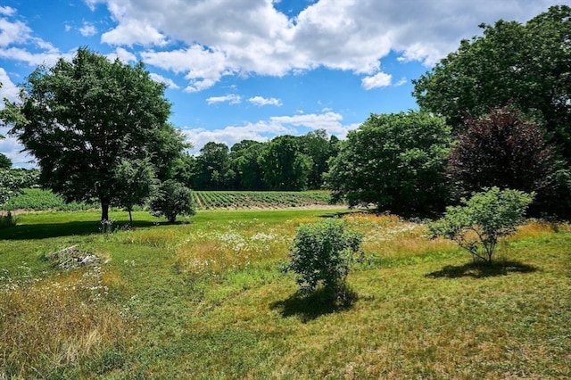 view of yard featuring a rural view