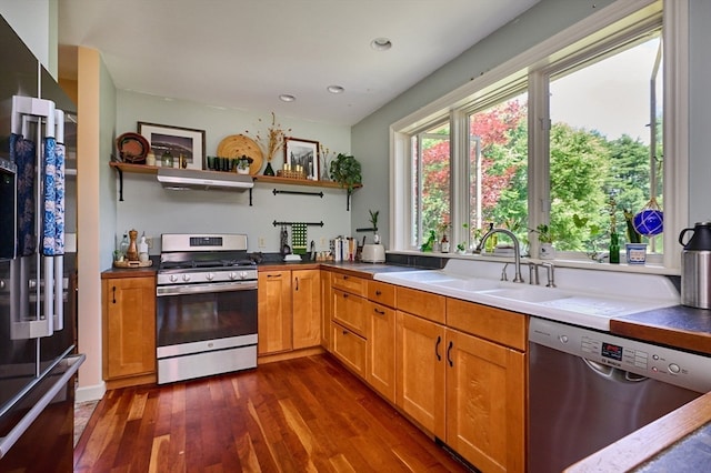 kitchen with dark hardwood / wood-style floors, extractor fan, stainless steel appliances, and sink