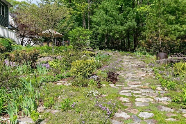 32 Erins Way, Holden, MA 01520 - view of yard
