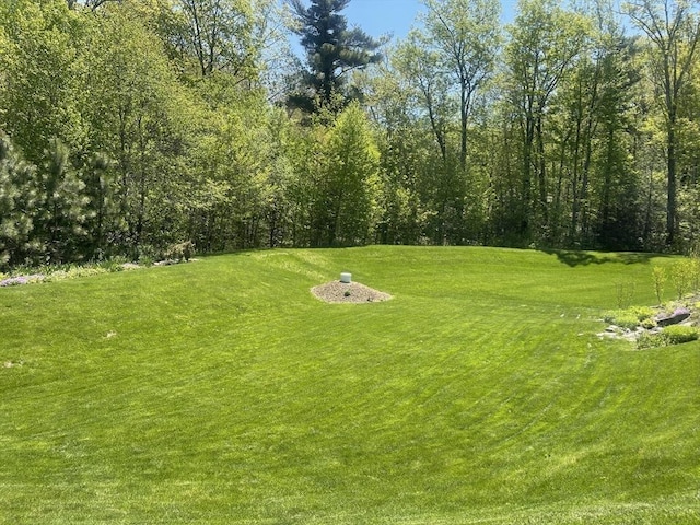 32 Erins Way, Holden, MA 01520 - view of green lawn