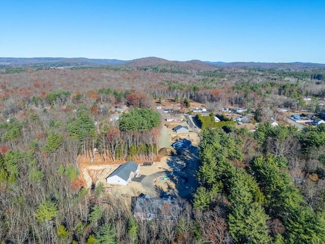 birds eye view of property featuring a mountain view