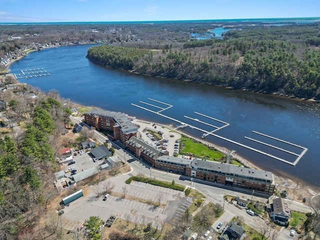 bird's eye view featuring a water view and a view of trees
