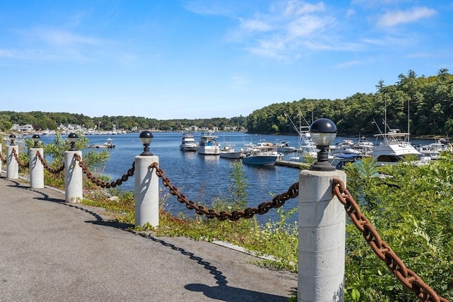 view of dock with a water view