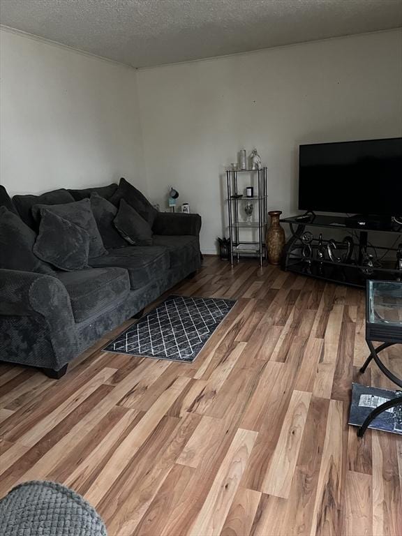 living room featuring hardwood / wood-style floors and a textured ceiling