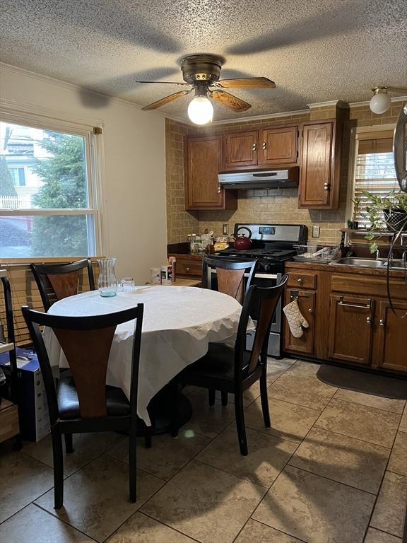 dining room with crown molding, sink, a textured ceiling, and ceiling fan