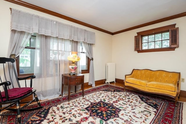 47 Ronald Rd, Arlington, MA 02474 - living area with radiator heating unit, plenty of natural light, wood finished floors, and ornamental molding
