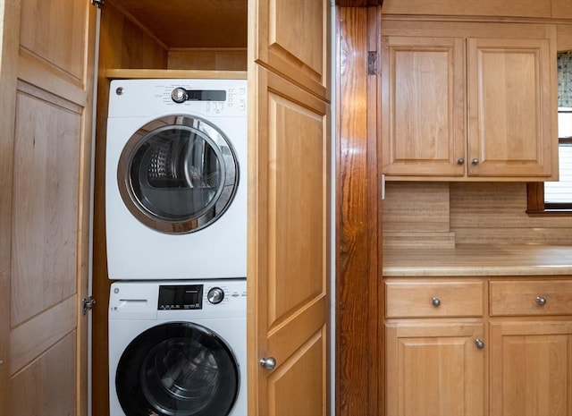 47 Ronald Rd, Arlington, MA 02474 - laundry room with estacked washer and dryer