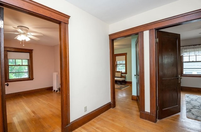 47 Ronald Rd, Arlington, MA 02474 - hall featuring radiator, light wood finished floors, and healthy amount of natural light