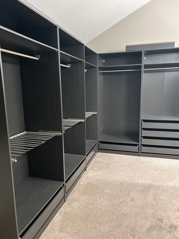 spacious closet featuring carpet floors