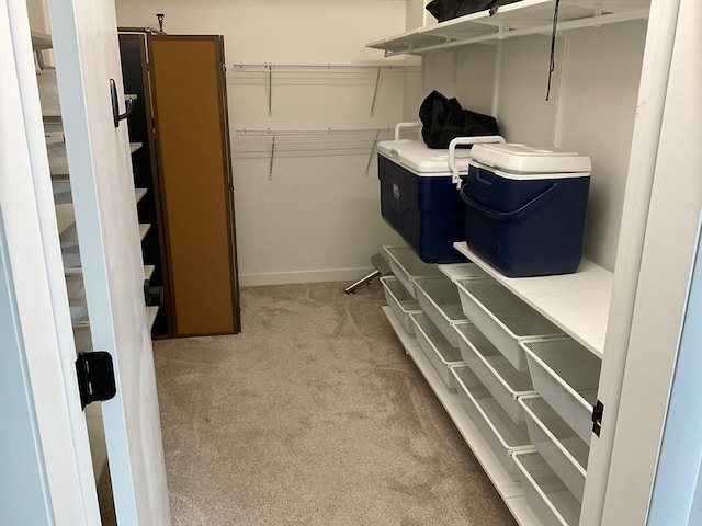 spacious closet with carpet