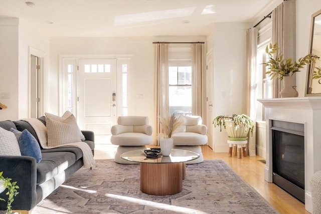 living room featuring light hardwood / wood-style floors