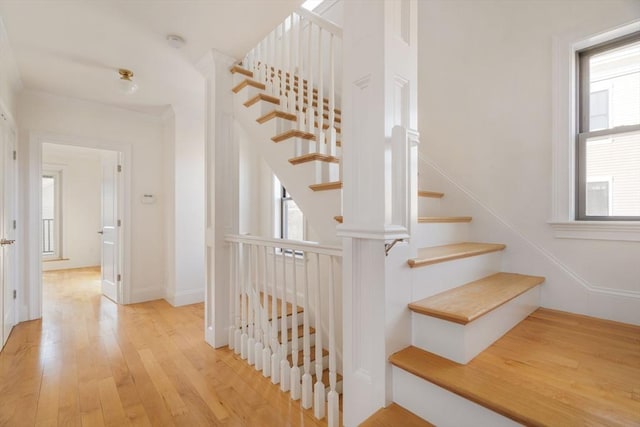 stairs with hardwood / wood-style flooring and plenty of natural light