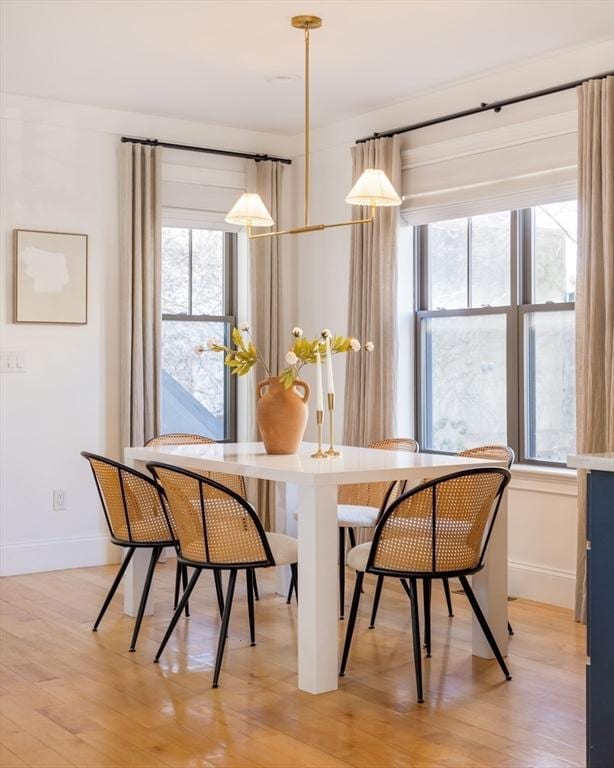 dining space featuring a wealth of natural light and light hardwood / wood-style floors